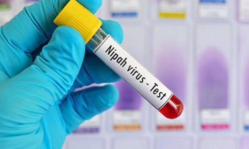 Kerala Nipah Virus